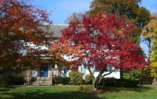 Tarry House - Recovery Home